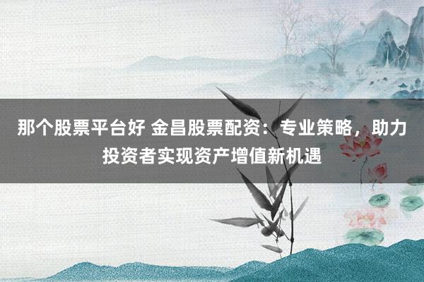 那个股票平台好 金昌股票配资：专业策略，助力投资者实现资产增值新机遇