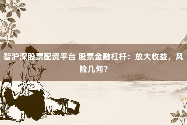 智沪深股票配资平台 股票金融杠杆：放大收益，风险几何？