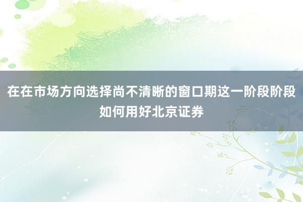 在在市场方向选择尚不清晰的窗口期这一阶段阶段如何用好北京证券