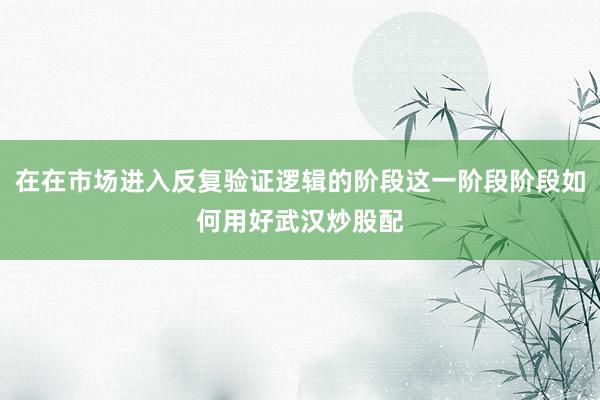 在在市场进入反复验证逻辑的阶段这一阶段阶段如何用好武汉炒股配