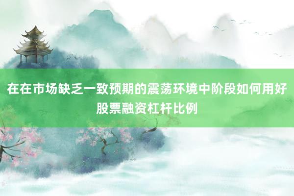 在在市场缺乏一致预期的震荡环境中阶段如何用好股票融资杠杆比例