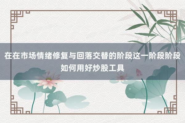 在在市场情绪修复与回落交替的阶段这一阶段阶段如何用好炒股工具