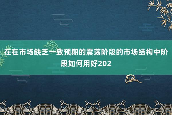 在在市场缺乏一致预期的震荡阶段的市场结构中阶段如何用好202