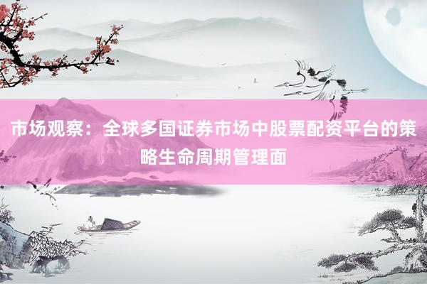 市场观察：全球多国证券市场中股票配资平台的策略生命周期管理面