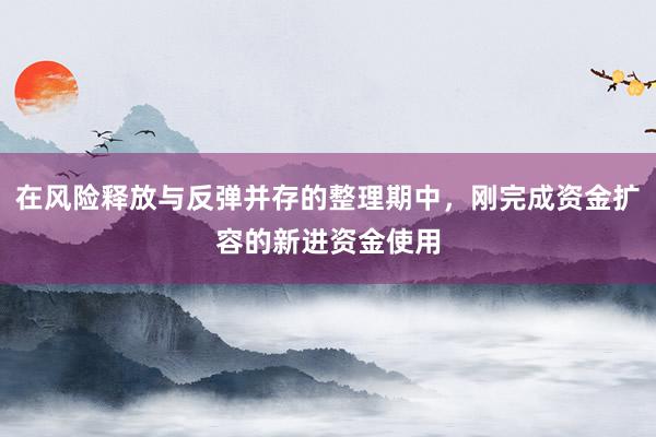 在风险释放与反弹并存的整理期中，刚完成资金扩容的新进资金使用