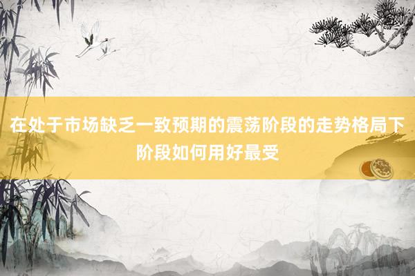 在处于市场缺乏一致预期的震荡阶段的走势格局下阶段如何用好最受