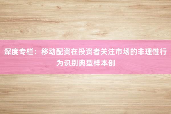 深度专栏：移动配资在投资者关注市场的非理性行为识别典型样本剖