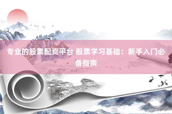 专业的股票配资平台 股票学习基础:新手入门必备指南