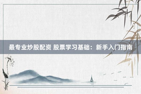 最专业炒股配资 股票学习基础：新手入门指南