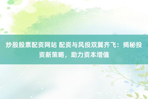 炒股股票配资网站 配资与风投双翼齐飞：揭秘投资新策略，助力资本增值