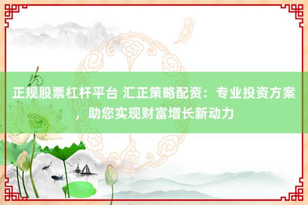 正规股票杠杆平台 汇正策略配资：专业投资方案，助您实现财富增长新动力